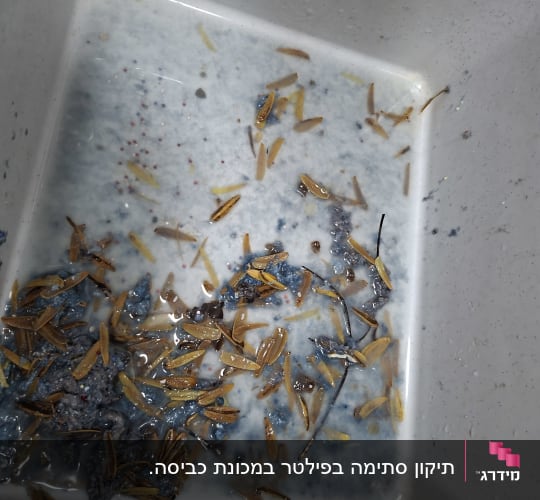 כיור עם מים ופסולת אורגנית